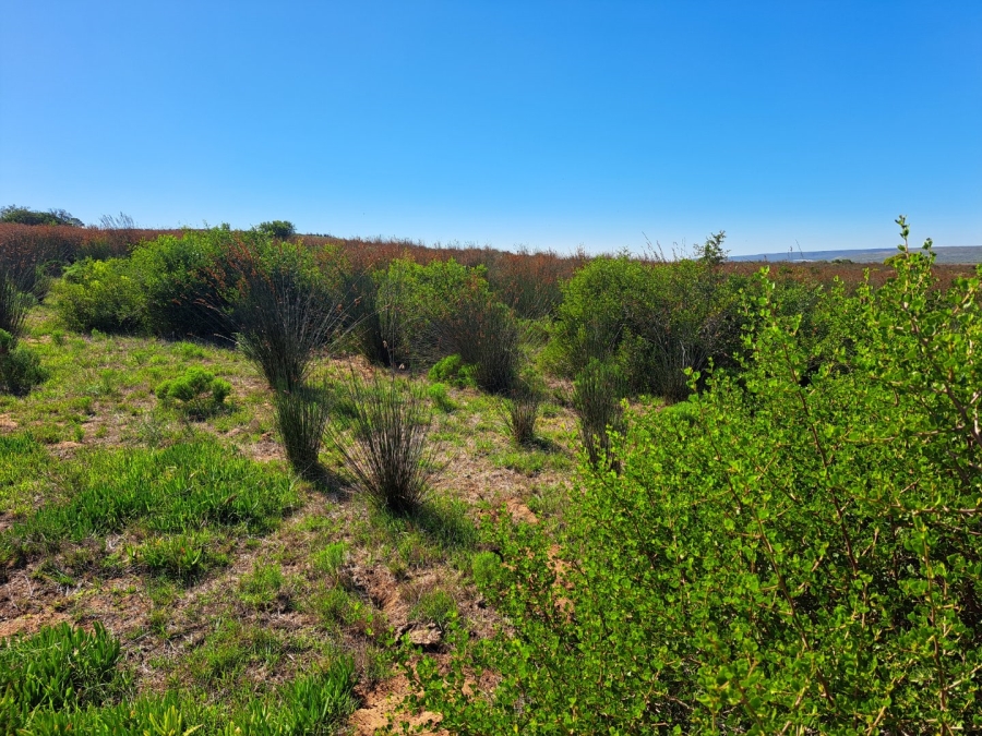  Bedroom Property for Sale in Riversdale Rural Western Cape